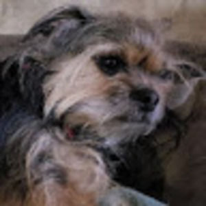 Meet your Posher, Roxanne